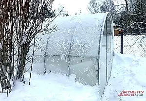 Снег на грядках: убивать или любить?