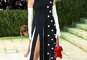 Эми Шералд появляется на Met Gala в образе собственной картины