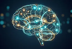Почему женщины выигрывают у мужчин в IQ-тестах нового типа