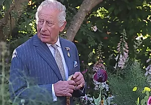 Королевский запрет снят: Чарльз снова удивляет
