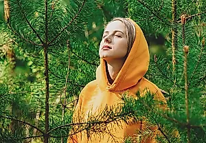 Запах хвои не делает вас умнее?
