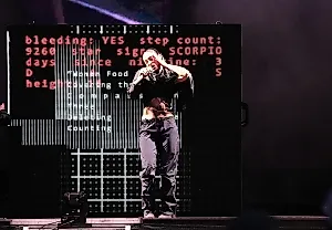 Lorde показала новый трек на Governor’s Ball