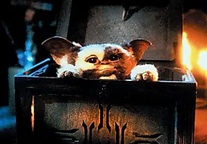 Безумные фанаты, VHS и "Гремлины": почти 3 часа забытых монстров