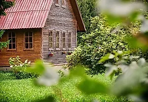 Гниль атакует. Проверенные методы защиты сада от монилиоза