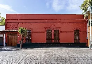 Новая премия Fundación Kahlo поддержит молодых художников из Мексики