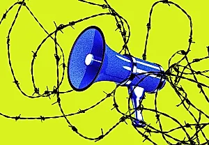 Агенты ICE приходят домой к интернет-критикам