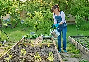 Что сеять в августе: Самойлова раскрывает