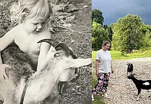Дачи звезд: будни без прикрас