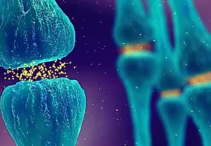 Centanafadine: что скрывает новая таблетка от СДВГ?