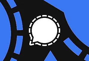 Signal против Windows 11: когда скриншот становится врагом