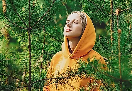 Запах хвои не делает вас умнее?