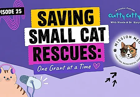 Миссия спасения кошек: как Mission Meow меняет правила игры