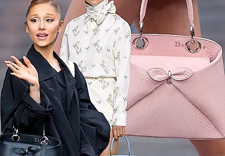 Сумка Dior Cigale: новая звезда 2026?