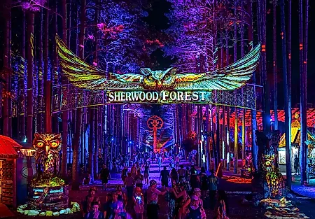 Трагедия на Electric Forest: найдено тело младенца