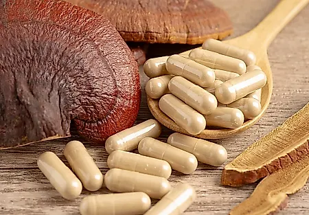 Medicinal mushroom supplements linked to a sudden relapse of psychosis in new case report