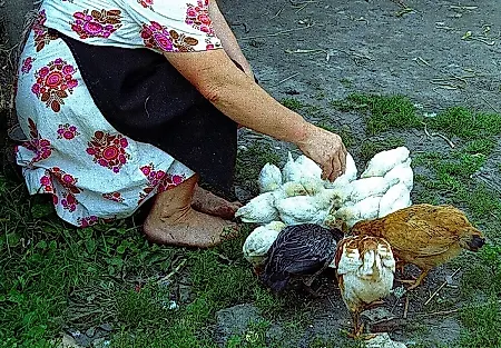 Кого кормить урожаем, а кого — не стоит