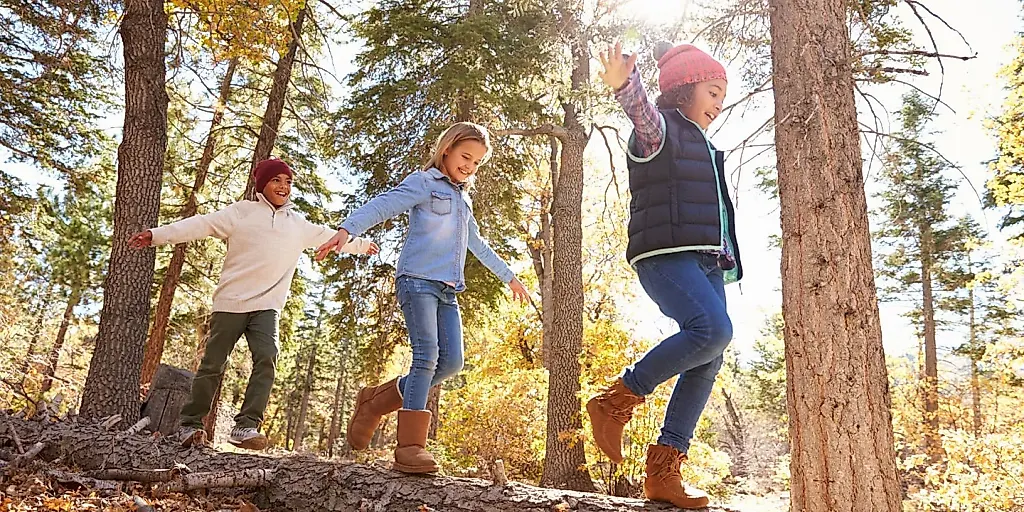 Зеленый абсурд: как outdoor-активности превратили детей в гениев