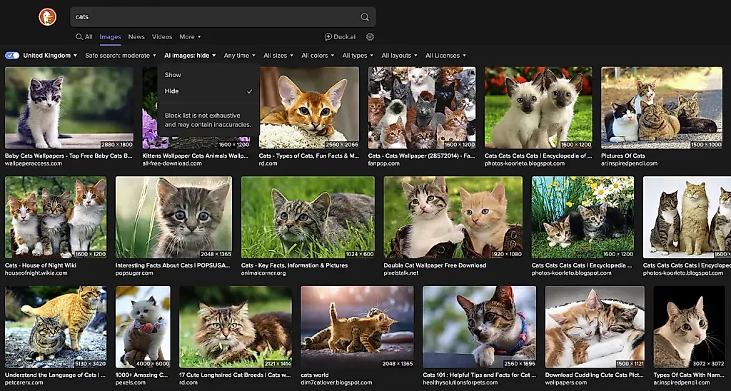 DuckDuckGo скрывает ИИ-изображения