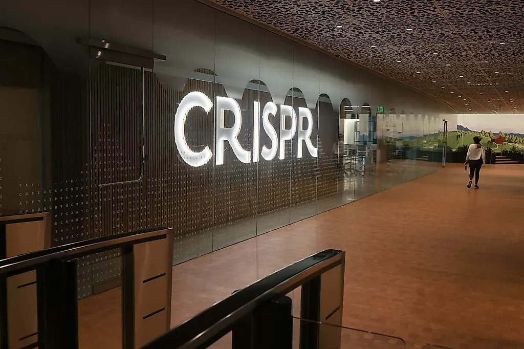 CRISPR заблокировал малярию у комаров