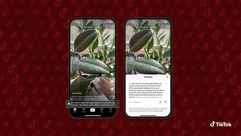 TikTok будет проверять видео с помощью пользователей: программа Footnotes