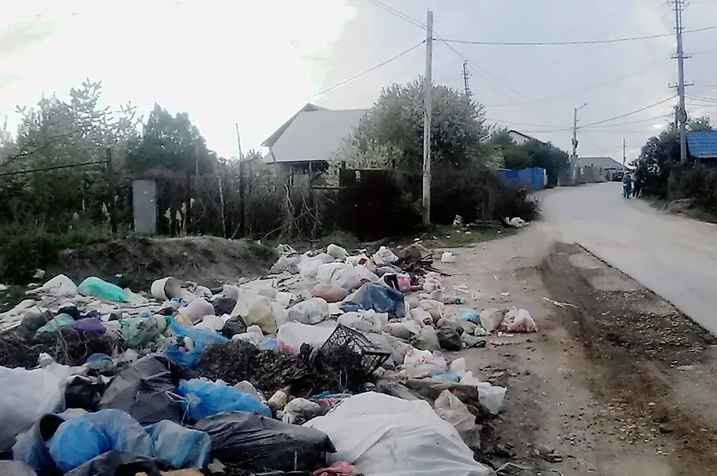 Как правильно утилизировать мусор на даче: советы юриста
