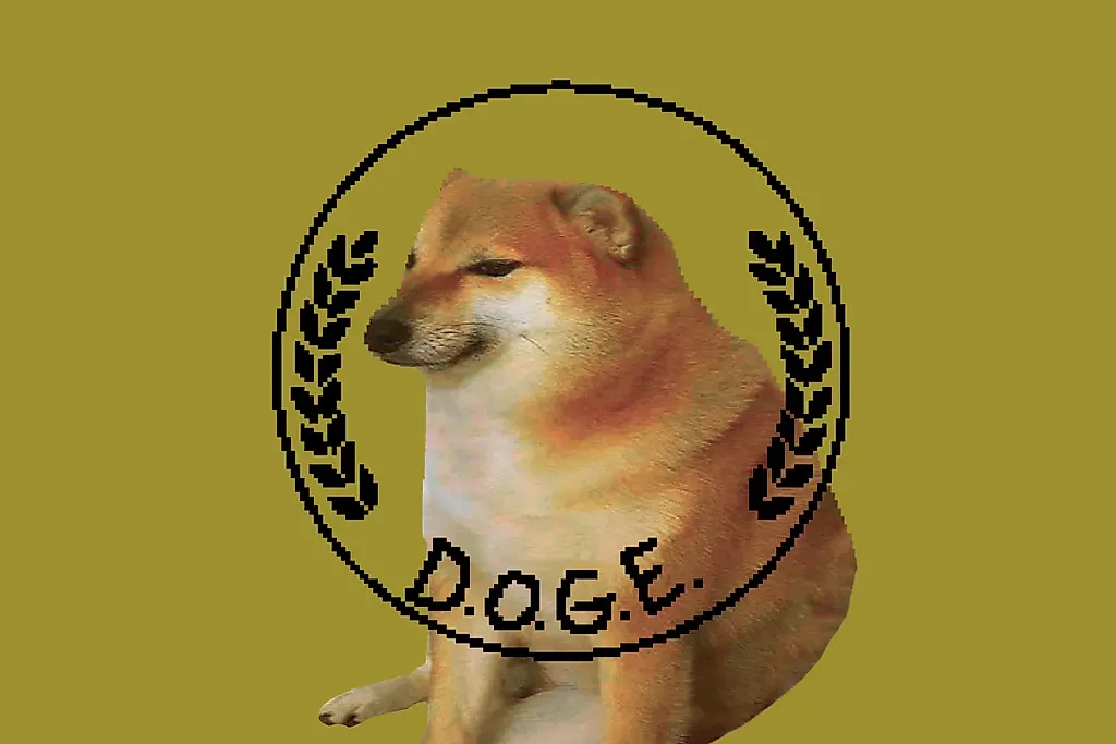 Новое искусство невостребованных данных: сотрудники DOGE и паранойя Трампа