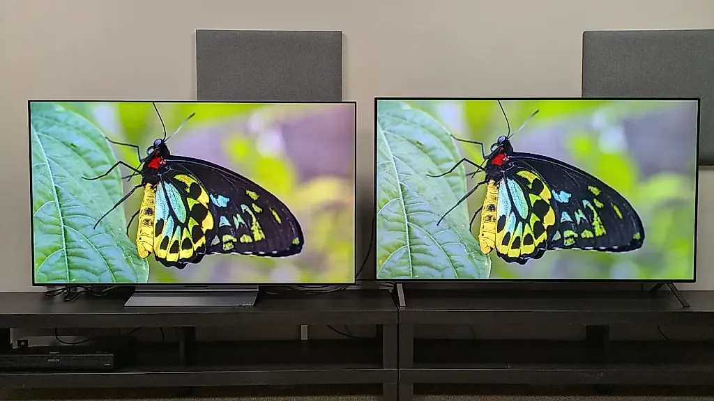 Телевизоры LG C5 и B5: битва бюджетных OLED