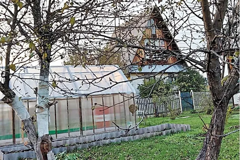 Осень, дача, паника: что делать до морозов?