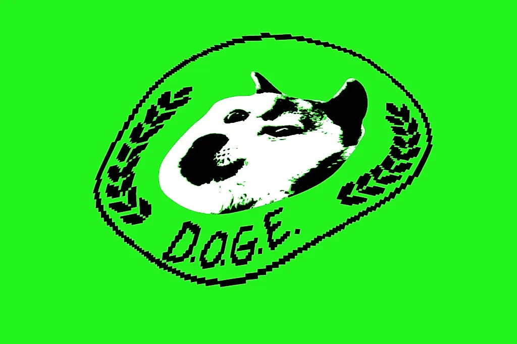 DOGE: хранитель тайны или угрозы?
