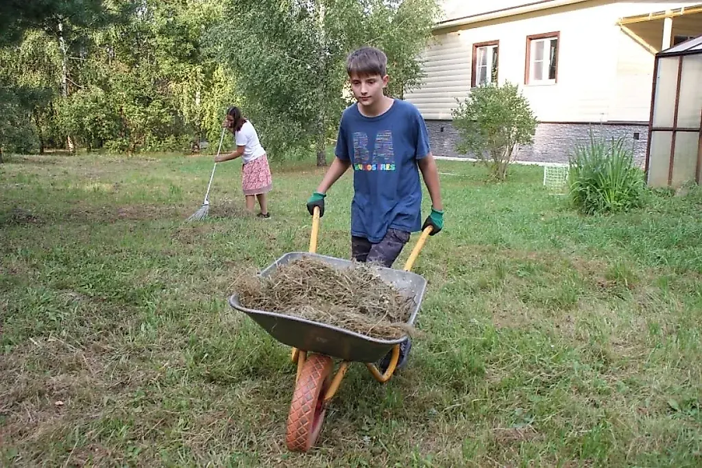 7 важных дел для дачи перед зимой