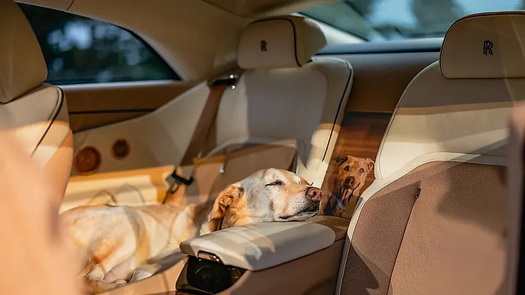 Rolls-Royce Spectre Bailey: люкс для собаки
