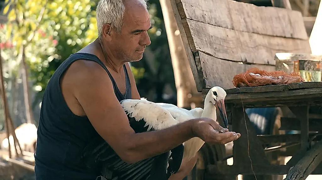 Как получить "Оскар" за лучший документальный фильм