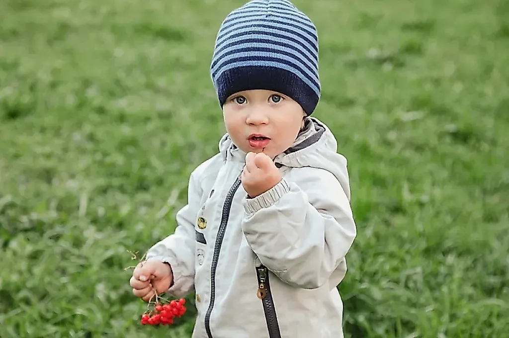 Запретный сад для детей
