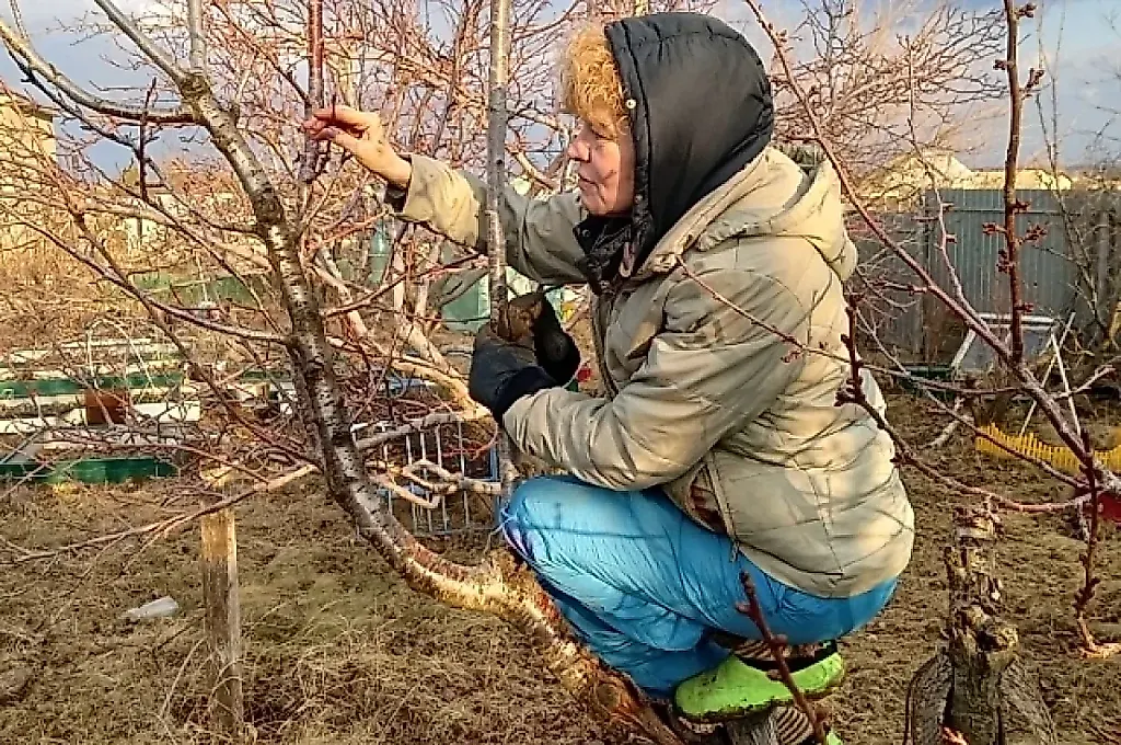 Весна зовёт в огород