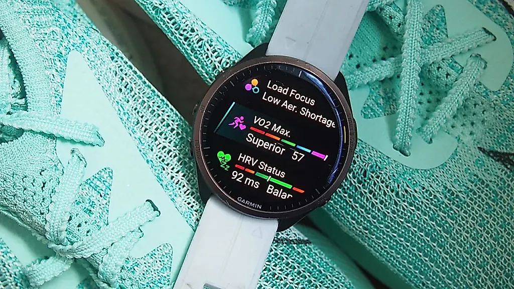 Год Garmin Connect+