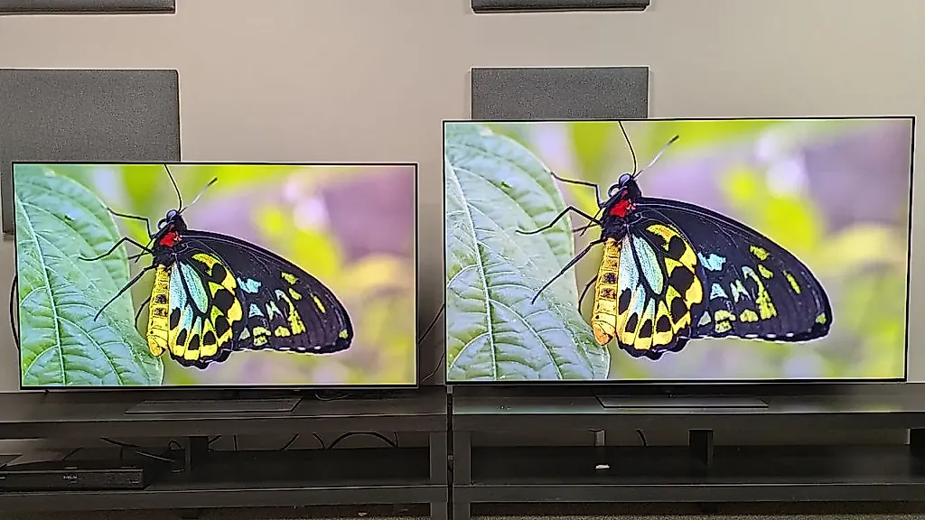 OLED-двоеборье