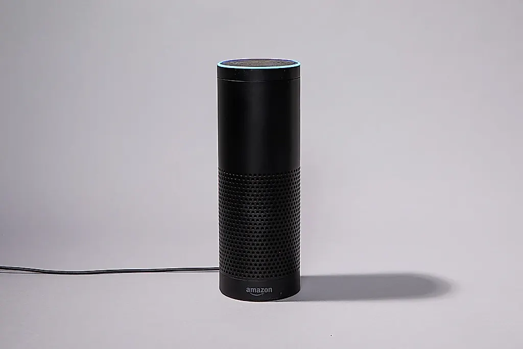 Как Echo научился говорить
