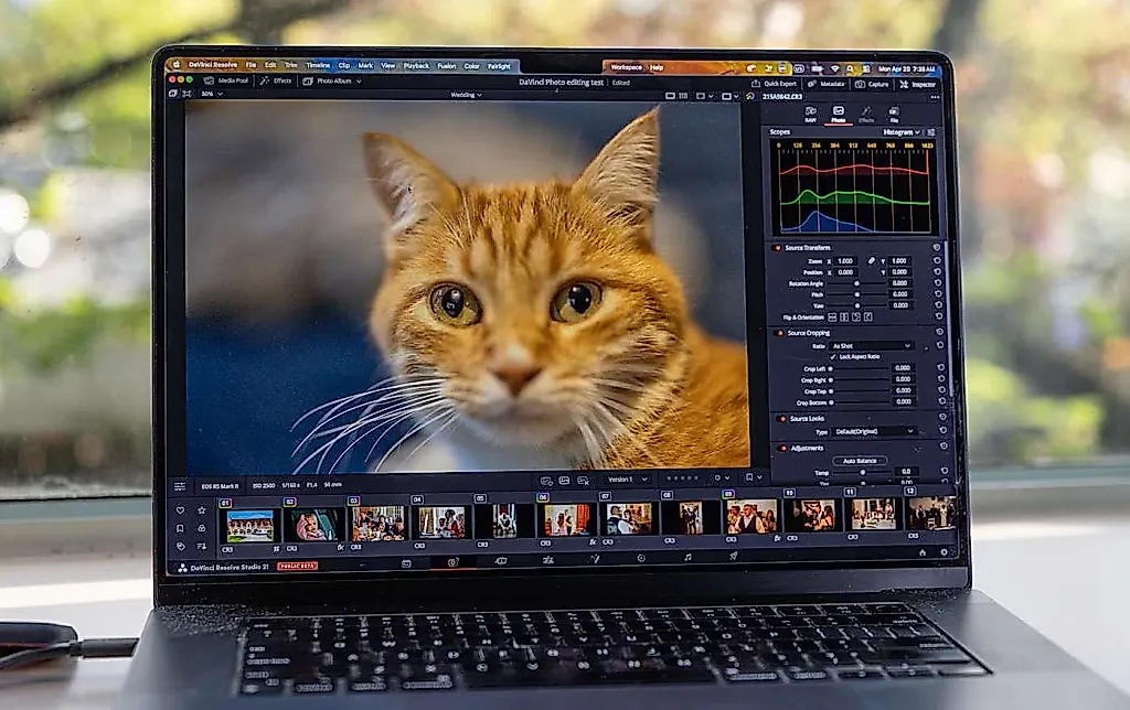 DaVinci Resolve 21 против Lightroom: битва за фото