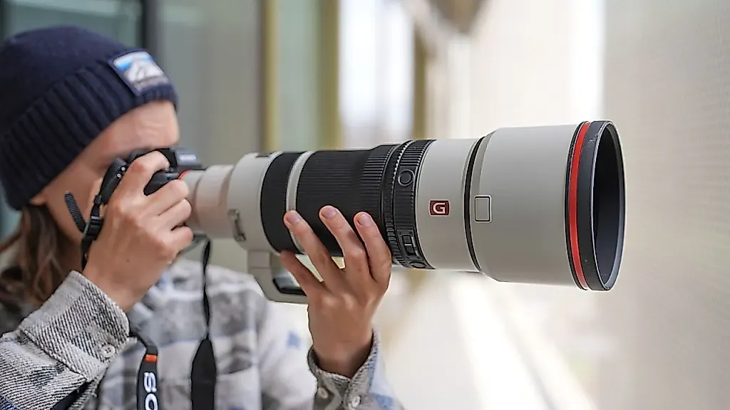 Sony 100-400mm f/4.5 GM — оптика для ленивых бёрдвотчеров?