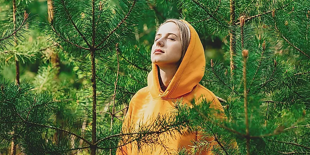 Запах хвои не делает вас умнее?