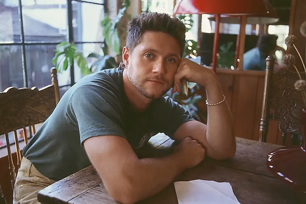 Niall Horan покорил британский чарт третий раз