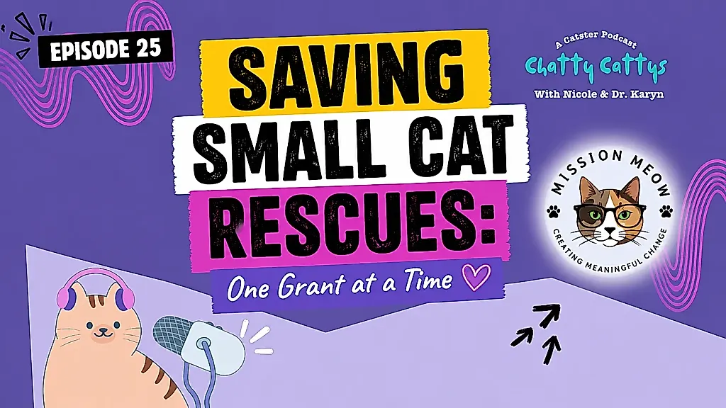 Миссия спасения кошек: как Mission Meow меняет правила игры