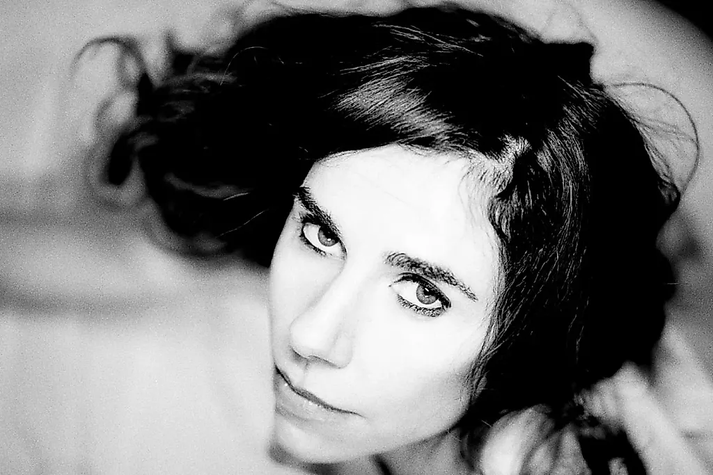PJ Harvey отправила «Вояджер» в космос — на зависть NASA и Sagan