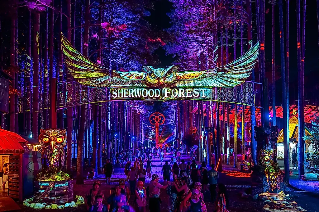 Трагедия на Electric Forest: найдено тело младенца