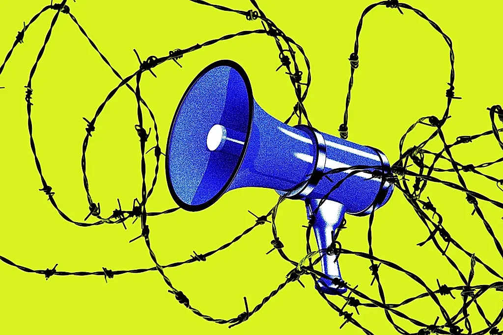Агенты ICE приходят домой к интернет-критикам