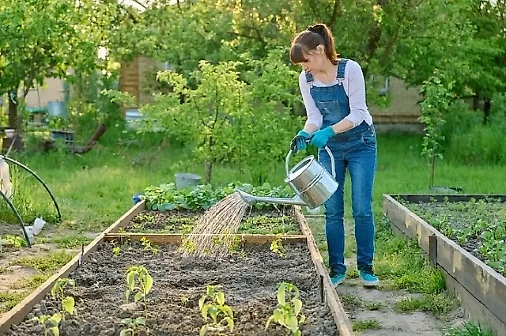 Что сеять в августе: Самойлова раскрывает
