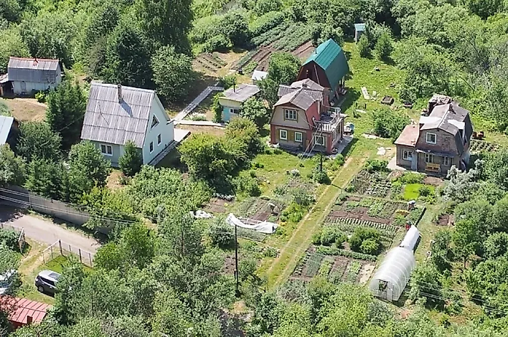 Кто теперь главный в СНТ: Росреестр наводит порядок на дачах