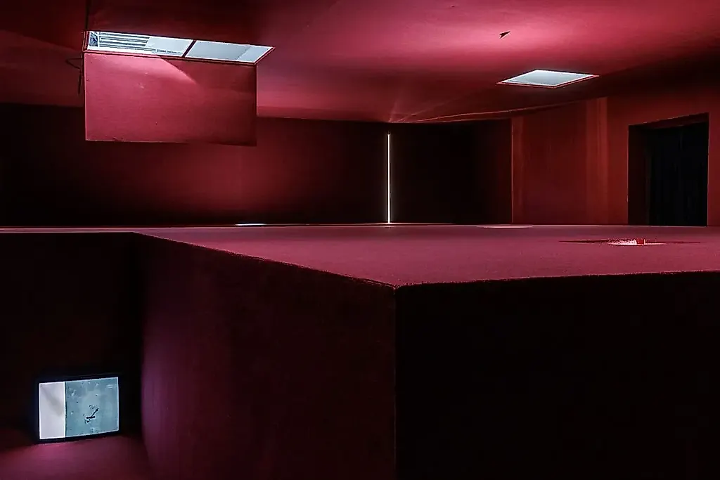 Renaissance Society получило приз Ellsworth Kelly на выставку Pan Daijing