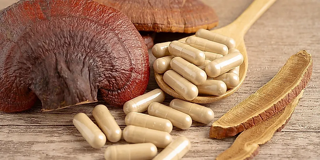 Medicinal mushroom supplements linked to a sudden relapse of psychosis in new case report