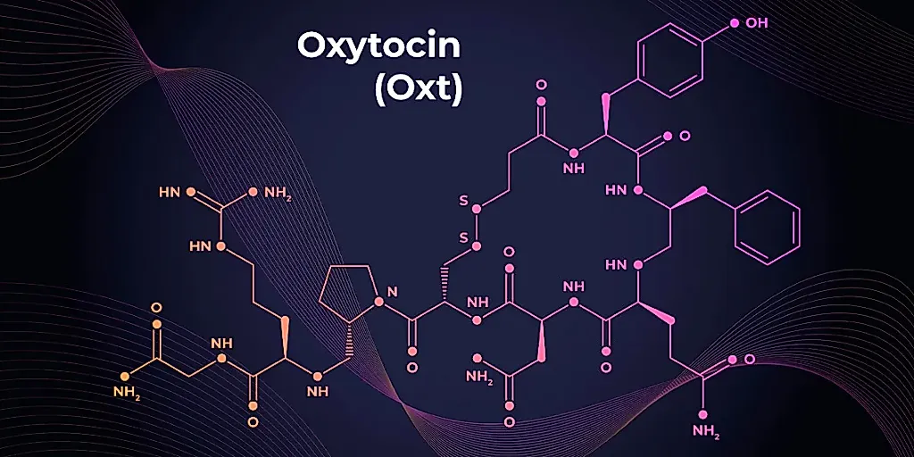 MDMA, окситоцин и психотерапия: что узнали учёные